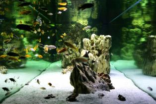 MuzeumFlory-i-Fauny-2014