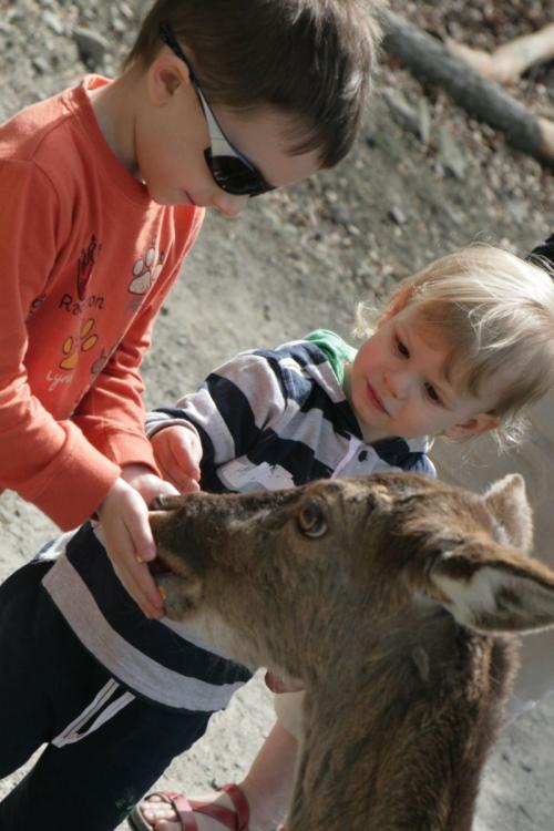 Wycieczka rodzinna do Lesnego Parku Niespodzianek